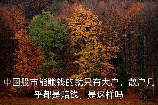 中國股市能賺錢的就只有大戶，散戶幾乎都是賠錢，是這樣嗎