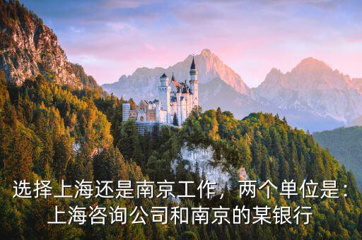 選擇上海還是南京工作，兩個單位是：上海咨詢公司和南京的某銀行