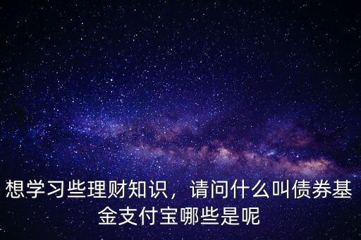 想學(xué)習(xí)些理財(cái)知識(shí)，請問什么叫債券基金支付寶哪些是呢