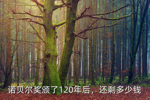 諾貝爾獎頒了120年后，還剩多少錢