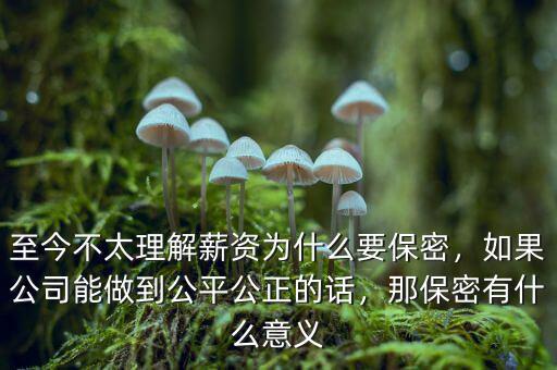 至今不太理解薪資為什么要保密，如果公司能做到公平公正的話，那保密有什么意義