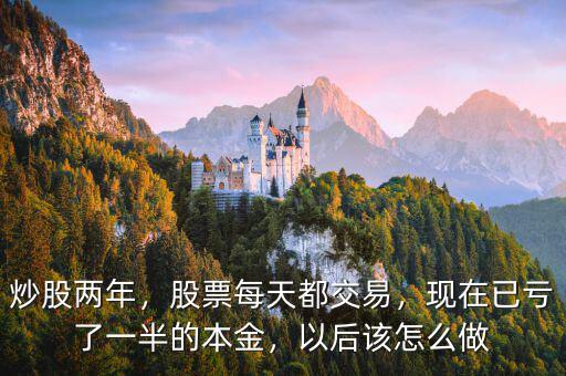 炒股兩年，股票每天都交易，現在已虧了一半的本金，以后該怎么做