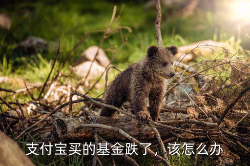 支付寶買的基金跌了，該怎么辦