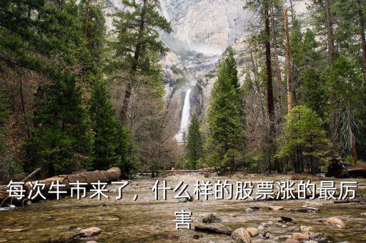 每次牛市來了，什么樣的股票漲的最厲害