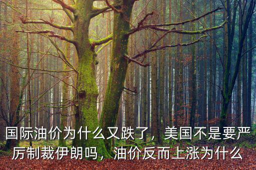 國際油價(jià)為什么又跌了，美國不是要嚴(yán)厲制裁伊朗嗎，油價(jià)反而上漲為什么