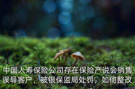 中國人壽保險公司存在保險產(chǎn)說會銷售誤導(dǎo)客戶，被銀保監(jiān)局處罰，如何整改