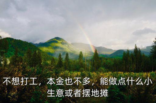 不想打工，本金也不多，能做點(diǎn)什么小生意或者擺地?cái)? class=