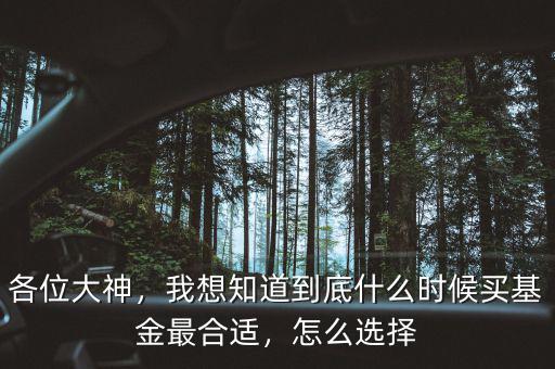 各位大神，我想知道到底什么時(shí)候買基金最合適，怎么選擇