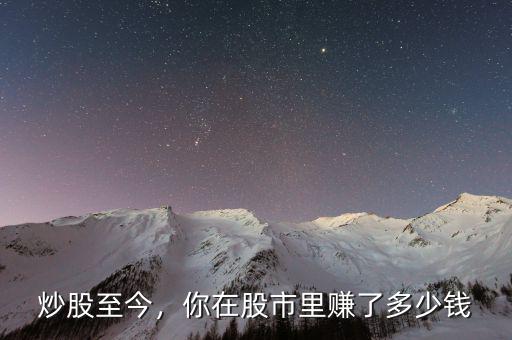 炒股至今，你在股市里賺了多少錢