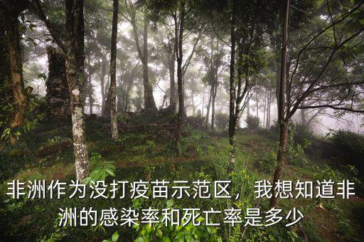 非洲作為沒打疫苗示范區(qū)，我想知道非洲的感染率和死亡率是多少