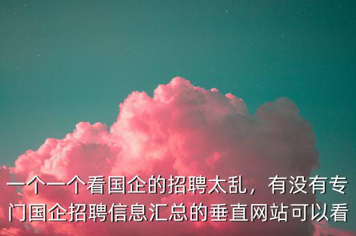 一個(gè)一個(gè)看國(guó)企的招聘太亂，有沒(méi)有專門國(guó)企招聘信息匯總的垂直網(wǎng)站可以看