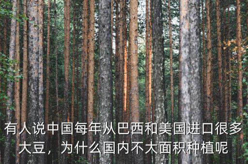 有人說中國每年從巴西和美國進口很多大豆，為什么國內(nèi)不大面積種植呢