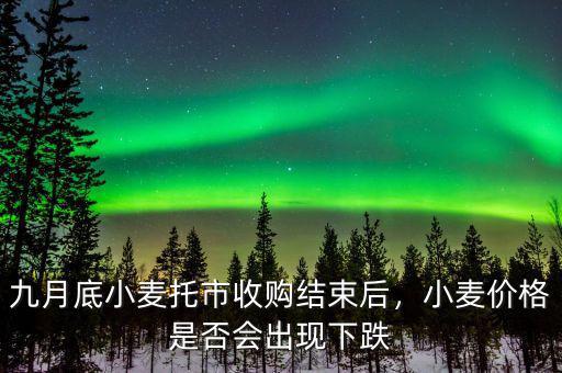 九月底小麥托市收購(gòu)結(jié)束后，小麥價(jià)格是否會(huì)出現(xiàn)下跌