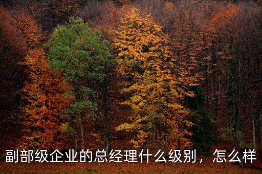 副部級(jí)企業(yè)的總經(jīng)理什么級(jí)別，怎么樣