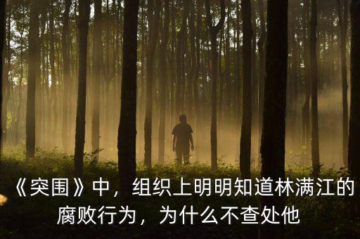 《突圍》中，組織上明明知道林滿江的腐敗行為，為什么不查處他