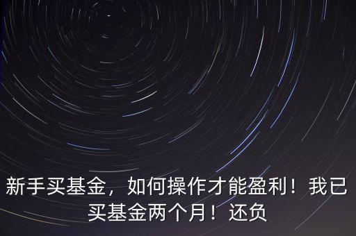 新手買基金，如何操作才能盈利！我已買基金兩個月！還負(fù)