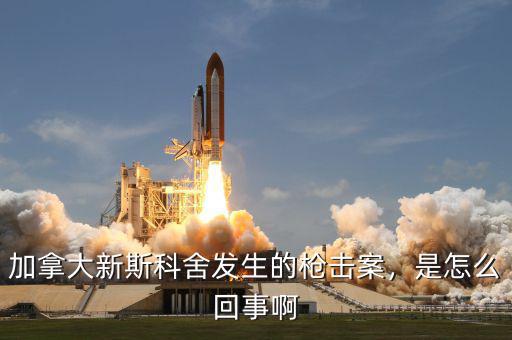 加拿大新斯科舍發(fā)生的槍擊案，是怎么回事啊