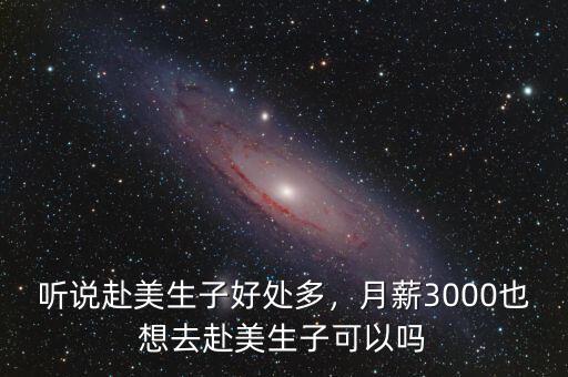 聽說赴美生子好處多，月薪3000也想去赴美生子可以嗎
