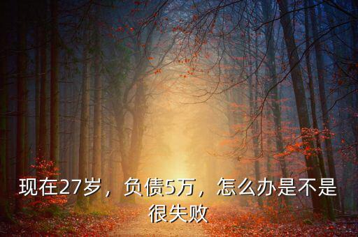 現在27歲，負債5萬，怎么辦是不是很失敗