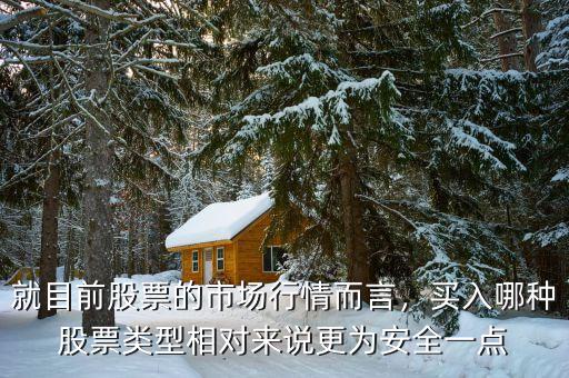 就目前股票的市場行情而言，買入哪種股票類型相對來說更為安全一點