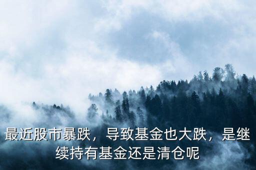 最近股市暴跌，導(dǎo)致基金也大跌，是繼續(xù)持有基金還是清倉呢