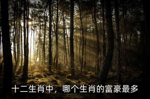 十二生肖中，哪個(gè)生肖的富豪最多