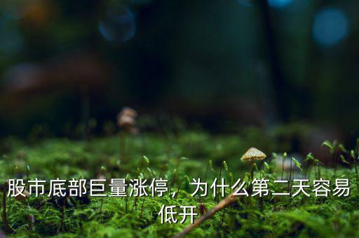 股市底部巨量漲停，為什么第二天容易低開