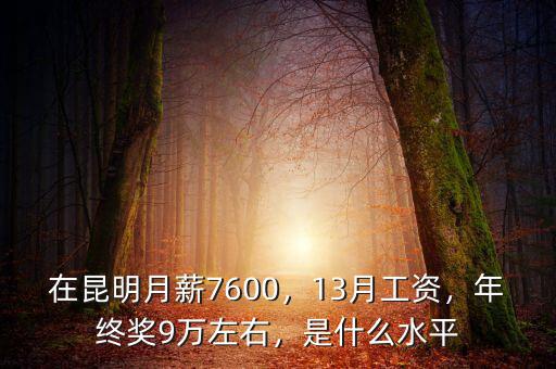 在昆明月薪7600，13月工資，年終獎(jiǎng)9萬左右，是什么水平