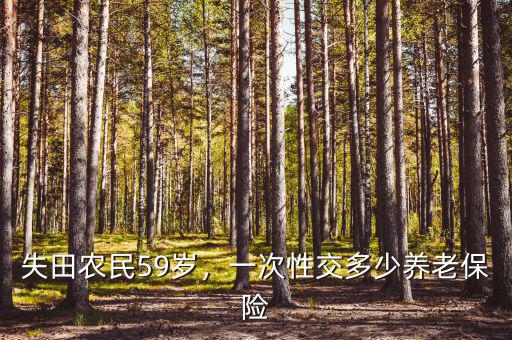 失田農(nóng)民59歲，一次性交多少養(yǎng)老保險(xiǎn)