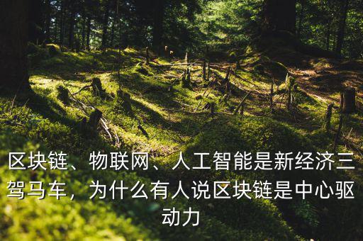 區(qū)塊鏈、物聯(lián)網(wǎng)、人工智能是新經(jīng)濟(jì)三駕馬車，為什么有人說(shuō)區(qū)塊鏈?zhǔn)侵行尿?qū)動(dòng)力