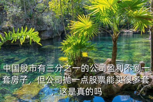 中國股市有三分之一的公司盈利不到一套房子，但公司拋一點股票能買很多套，這是真的嗎