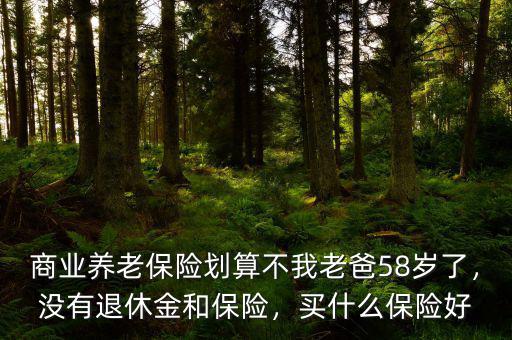 商業(yè)養(yǎng)老保險(xiǎn)劃算不我老爸58歲了，沒(méi)有退休金和保險(xiǎn)，買(mǎi)什么保險(xiǎn)好