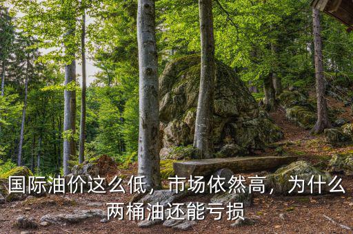 國際油價這么低，市場依然高，為什么兩桶油還能虧損