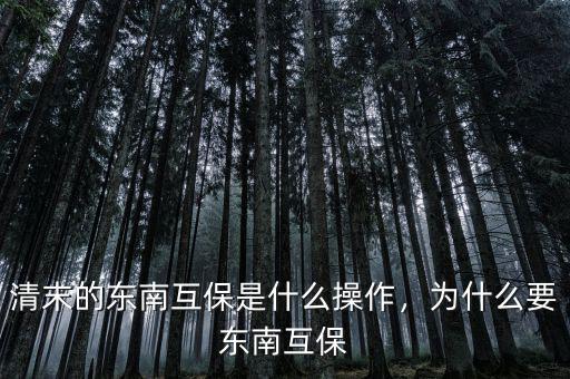 清末的東南互保是什么操作，為什么要東南互保