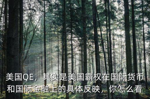美國QE，其實是美國霸權(quán)在國際貨幣和國際金融上的具體反映，你怎么看