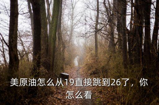 美原油怎么從19直接跳到26了，你怎么看