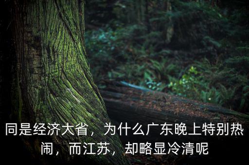 同是經(jīng)濟大省，為什么廣東晚上特別熱鬧，而江蘇，卻略顯冷清呢