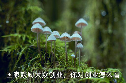 國(guó)家鼓勵(lì)大眾創(chuàng)業(yè)，你對(duì)創(chuàng)業(yè)怎么看