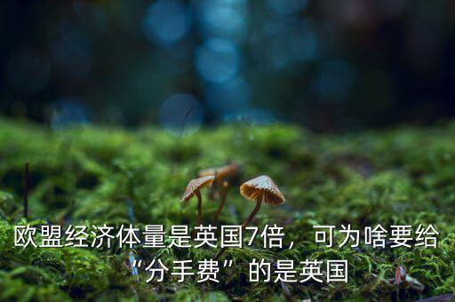 歐盟經(jīng)濟(jì)體量是英國(guó)7倍，可為啥要給“分手費(fèi)”的是英國(guó)