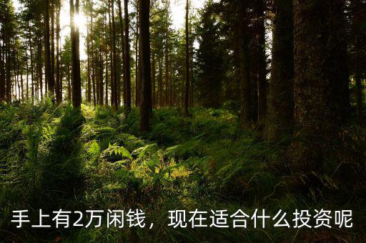 手上有2萬閑錢，現(xiàn)在適合什么投資呢