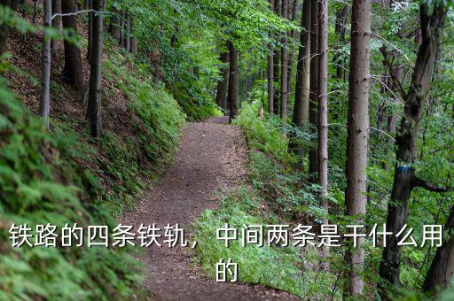 鐵路的四條鐵軌，中間兩條是干什么用的