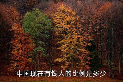 中國(guó)現(xiàn)在有錢(qián)人的比例是多少