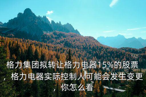 格力集團(tuán)擬轉(zhuǎn)讓格力電器15%的股票，格力電器實(shí)際控制人可能會(huì)發(fā)生變更，你怎么看