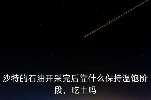 沙特的石油開采完后靠什么保持溫飽階段，吃土嗎