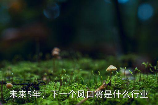 未來5年，下一個風(fēng)口將是什么行業(yè)