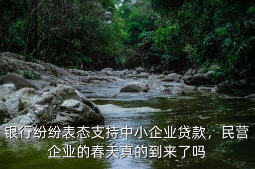 銀行紛紛表態(tài)支持中小企業(yè)貸款，民營企業(yè)的春天真的到來了嗎