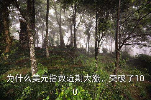 為什么美元指數(shù)近期大漲，突破了100