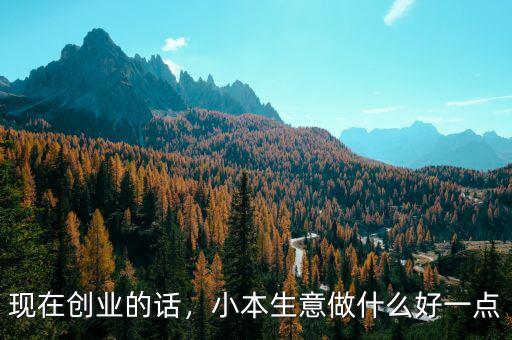 現(xiàn)在創(chuàng)業(yè)的話，小本生意做什么好一點