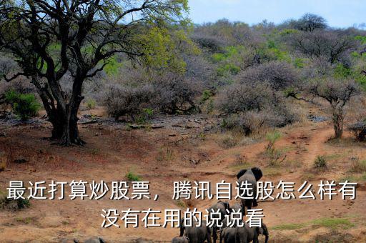 最近打算炒股票，騰訊自選股怎么樣有沒(méi)有在用的說(shuō)說(shuō)看