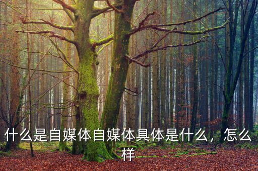 什么是自媒體自媒體具體是什么，怎么樣